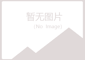 师宗县宿命化学有限公司